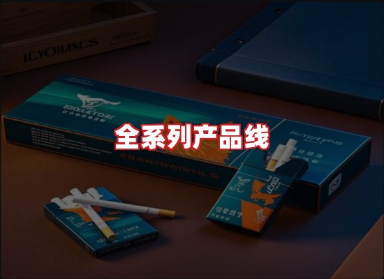 专业团队